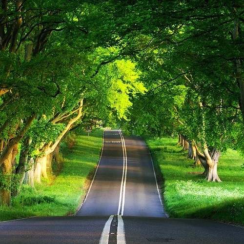 Oak Tree Road, Ireland