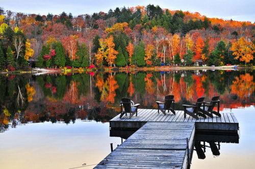 Autumn Dock, Maine