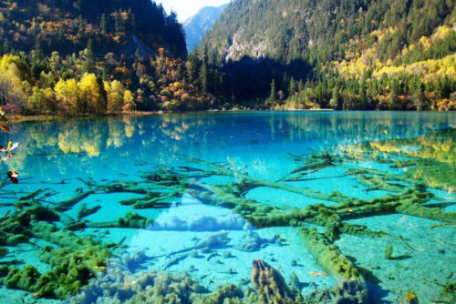 Turquoise Lake, Jiuzhai Valley National Park, China