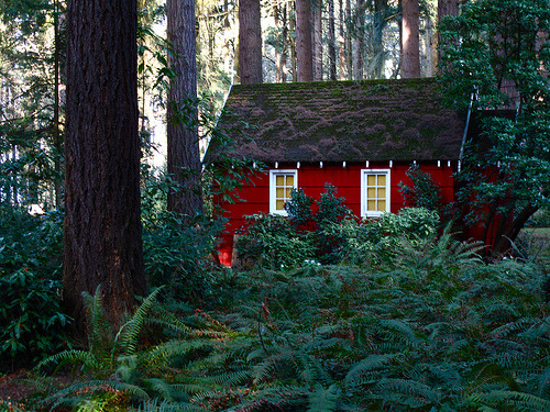 Forest Cottage, The Grotto, Oregon