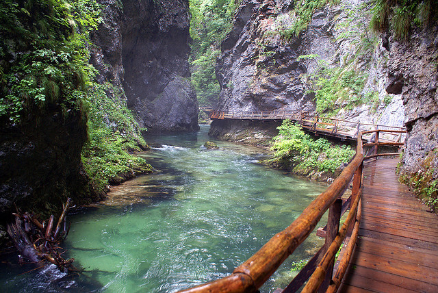 Vintgar Gorge is a 1.6 km gorge located near the settlement of Zgornje Gorje, four kilometers northwest of Bled, Slovenia.