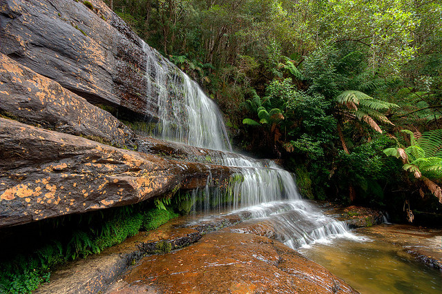 by Izac21 on Flickr.Lady Barron Falls in Mt. Field National Park, Tasmania.