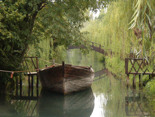 Weeping Willow Canal, Clitunno, Italy