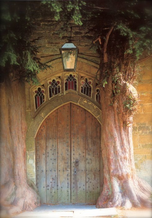Yew Tree Entrance, St. Edwards, Oxford, England