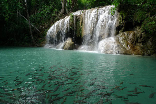 by reevery on Flickr.Erawan waterfalls in Erawan National Park located in western Thailand.