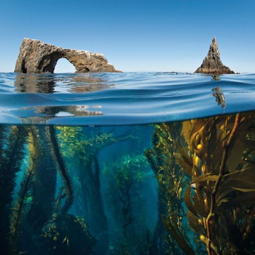 Anacapa Arch, Channel Islands National Park, California
