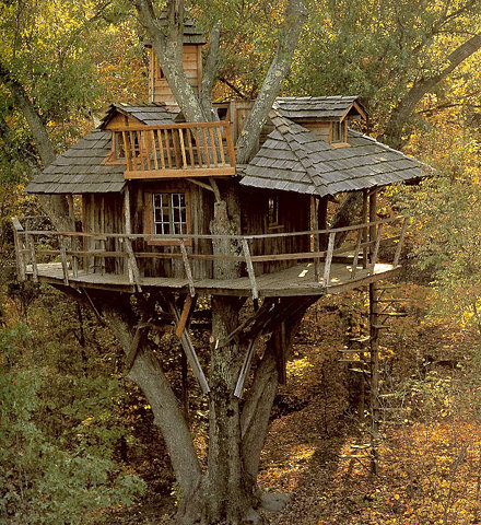 Inhabited Tree House, Marin, California