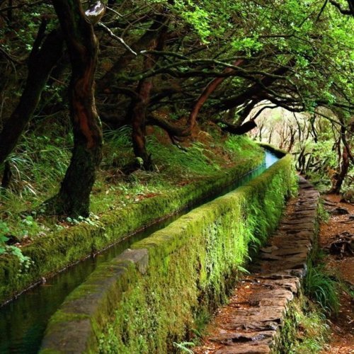 Ancient Canal,  Madeira, Portugal