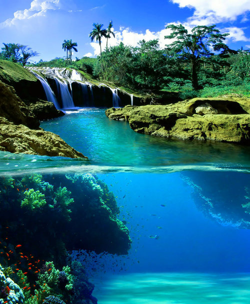 Split-View Waterfall, Jamaica