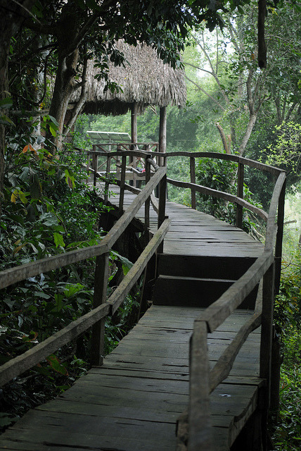 Wooden path in Cat Tien National Park, Vietnam
