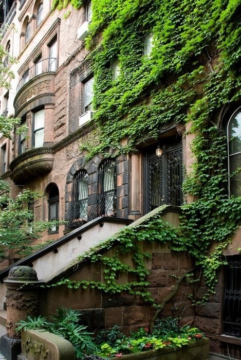 Ivy Entrance, Brooklyn, New York