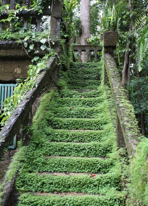 Green Stairway, Queensland, Australia