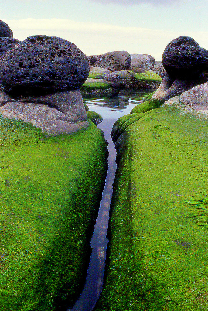 Mossy Inlet, Iceland
