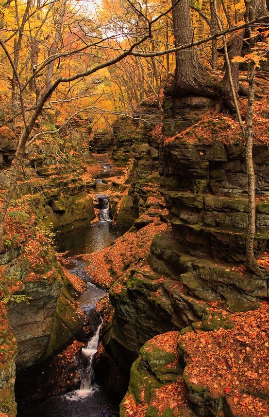 Pewits Nest Canyon, Baraboo, Wisconsin