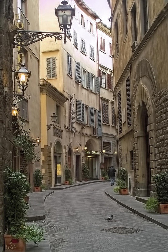 Narrow Street, Florence, Italy
