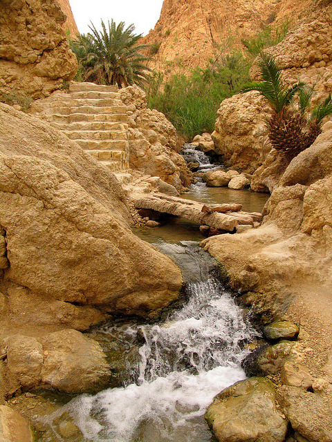 Mountain oasis of Chebika in western Tunisia