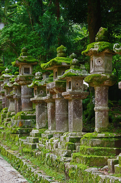 Stone lanterns at Kasuga Taisha Shrine in Nara, Japan