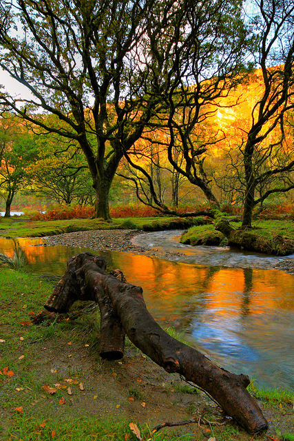 Autumn days in Glendalough Valley, Co. Wicklow, Ireland