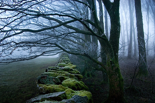 November Forest, Cumbria, England