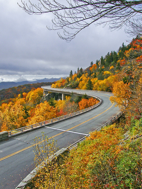 Fall colors at Linn Cove Viaduct in North Carolina, USA