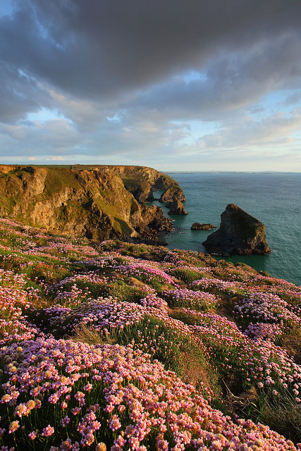 Bedruthan Steps in Cornwall, England