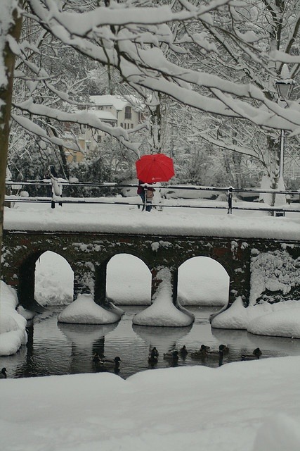 Red Umbrella, Guildford, England