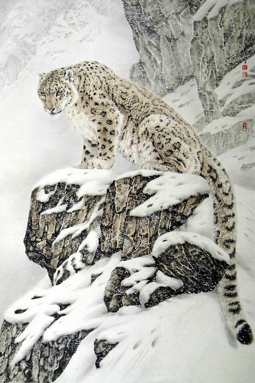 Snow Leopard, China