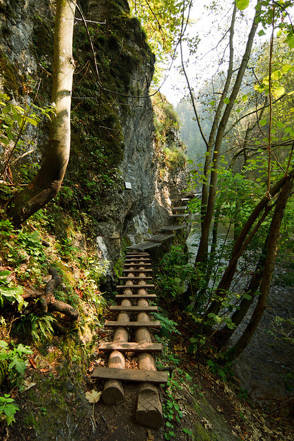 Canyon Path, Slovakia