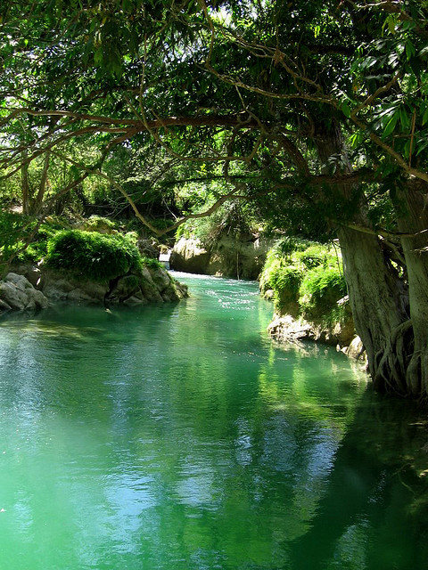 Emerald river in Huasteca Potosina, Mexico