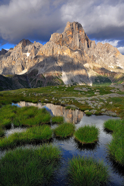 A mirror in the grass, Passo Rolle - Dolomites, Italy