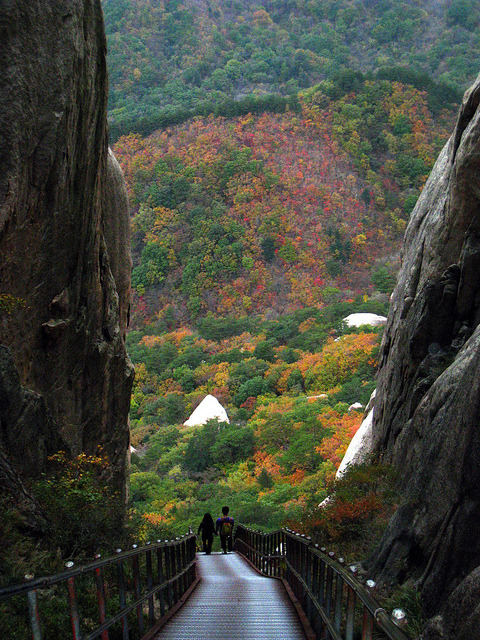 Path to Ulsan Bawi Rocks in Seoraksan National Park, South Korea