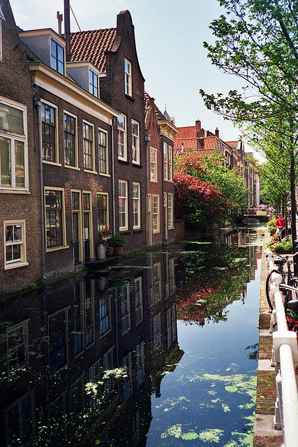 Houses by the canal in Delft, Netherlands
